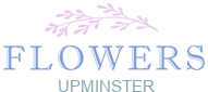 flowerdeliveryupminster.co.uk